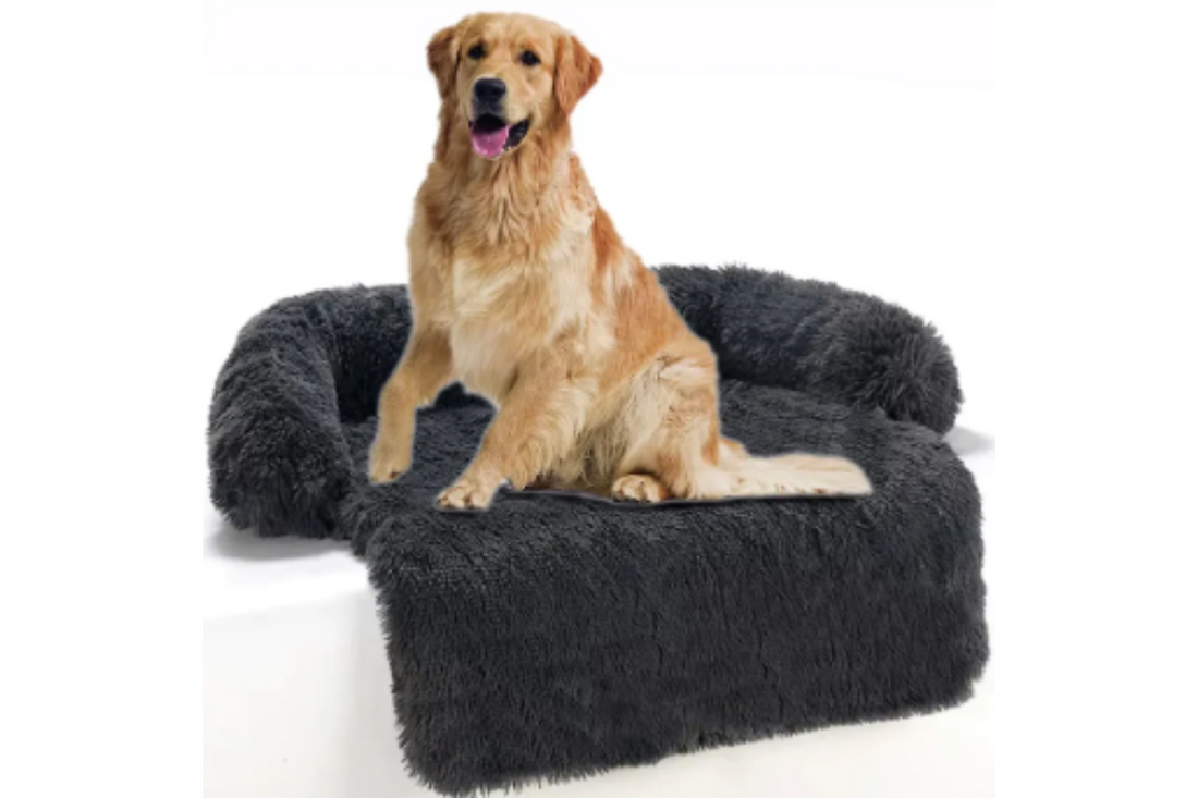 Everything Your Pet Needs in One Place – Shop Pet Supplies at Ghito