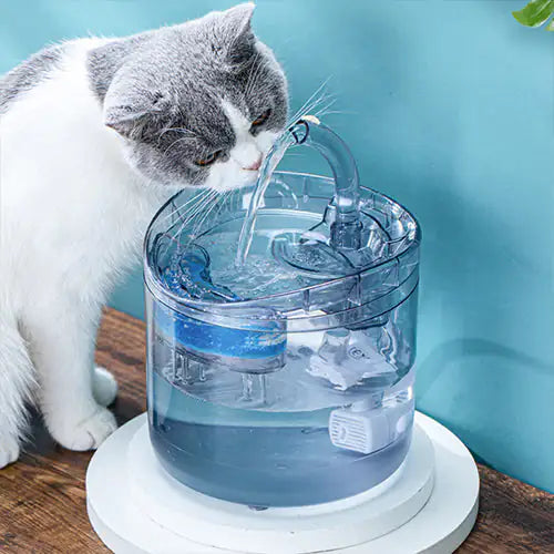 Smart Pet Water Fountain