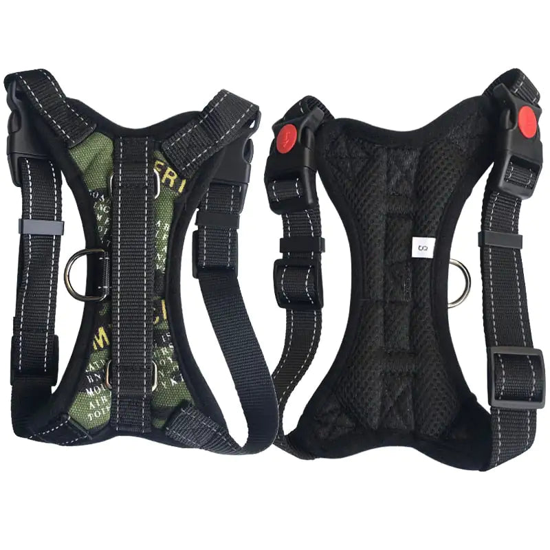 Pet Walking Harness: Adjustable Comfort