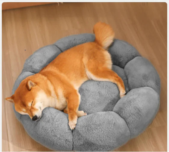 calming pet beds