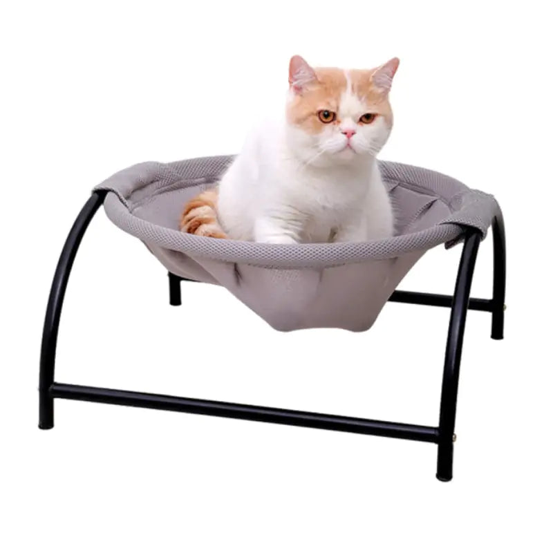 Iron Frame Pet Hammock