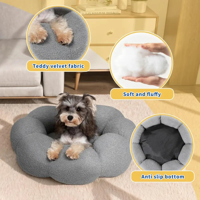 Calming Indoor Pet Beds