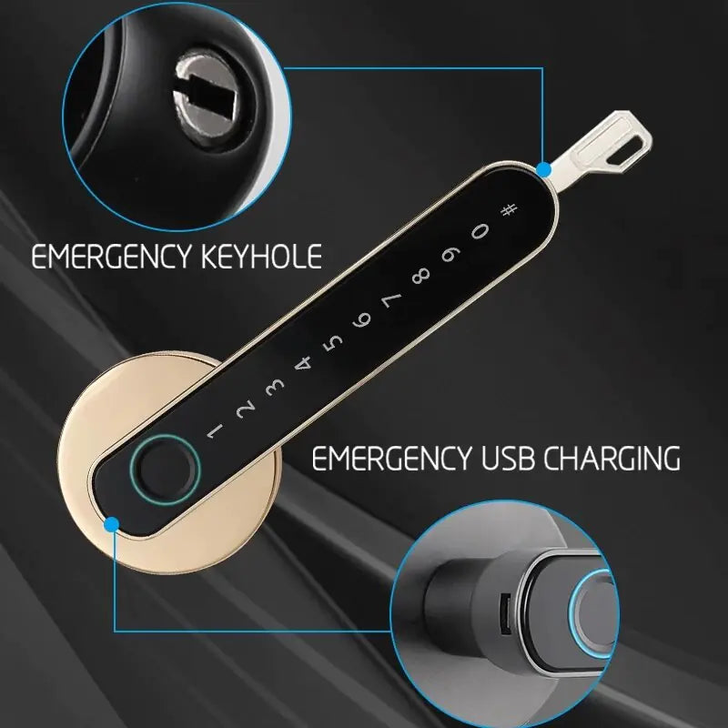 Smart  Door Lock Handle