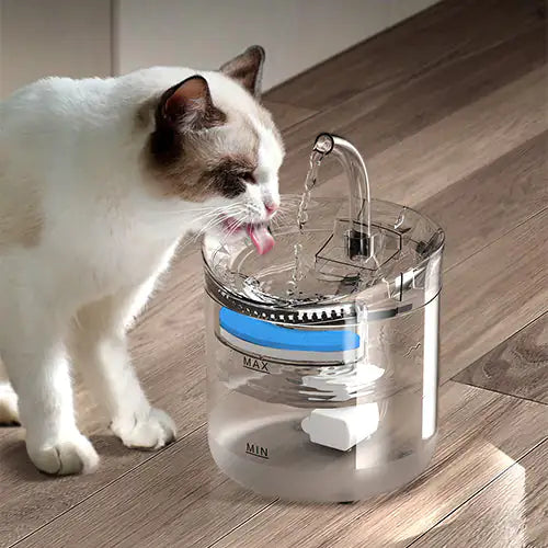 Smart Pet Water Fountain